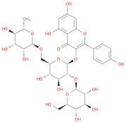 Kaempferol-3-O-(2''-O-β-D-glucopyl)-β-D-rutinoside