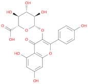 Kaempferol-O-glucuronide