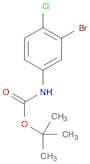 tert-Butyl 3-bromo-4-chlorophenylcarbamate