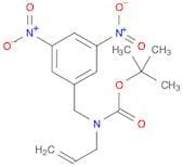 tert-butyl N-[(3,5-dinitrophenyl)methyl]-N-(prop-2-en-1-yl)carbamate