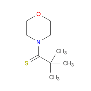 2,2-dimethyl-1-morpholinopropane-1-thione