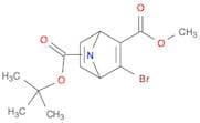 7-TERT-BUTYL 2-METHYL 3-BROMO-7-AZABICYCLO[2.2.1]HEPTA-2,5-DIENE-2,7-DICARBOXYLATE