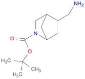 tert-butyl 5-(aminomethyl)-2-azabicyclo[2.2.1]heptane-2-carboxylate