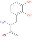 2-Amino-3-(2,3-dihydroxyphenyl)propanoic acid
