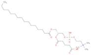 (2S,5S)-5-Amino-7-carboxy-1-hydroxy-4-oxo-3-(palmitoyloxy)heptan-2-yl (2-(trimethylammonio)ethyl) …
