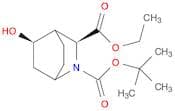 RAcemic-(1S,3S,4S,5R)-2-Tert-Butyl 3-Ethyl 5-Hydroxy-2-Azabicyclo[2.2.2]Octane-2,3-Dicarboxylate