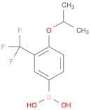 [4-propan-2-yloxy-3-(trifluoromethyl)phenyl]boronic acid
