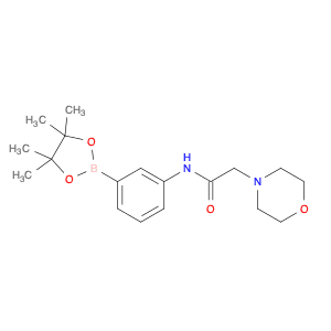 2-(morpholin-4-yl)-N-[3-(4,4,5,5-tetramethyl-1,3,2-dioxaborolan-2-yl)phenyl]acetamide