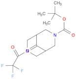 tert-butyl 9-oxo-7-(2,2,2-trifluoroacetyl)-3,7-diaza-bicyclo[3.3.1]nonane-3-carboxylate