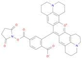 6-Carboxy-X-rhodamine, succinimidyl ester