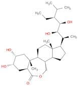 (22R,23R)-28-HomoBrassinolide