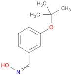 (E)-N-{[3-(tert-butoxy)phenyl]methylidene}hydroxylamine