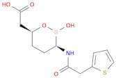 (3R,6S)-2-Hydroxy-3-[[2-(2-thienyl)acetyl]amino]-1,2-oxaborinane-6-acetic acid