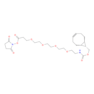 ENdo-BCN-PEG4-NHS ester