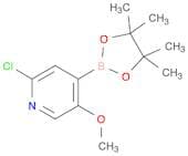 2-Chloro-5-Methoxypyridine-4-Boronic Acid Pinacol Ester