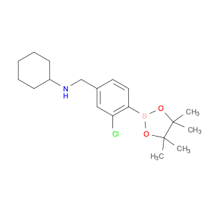 2-Chloro-4-(N-cyclohexylaminomethyl)phenylboronic acid, pinacol ester