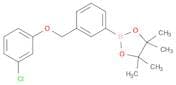 3-(3-Chlorophenoxymethyl)phenylboronic acid pinacol ester
