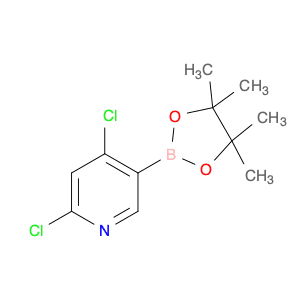 2,4-Dichloropyridine-5-boronic acid pinacol ester