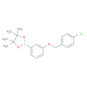 1,3,2-Dioxaborolane, 2-[3-[(4-chlorophenyl)methoxy]phenyl]-4,4,5,5-tetramethyl-