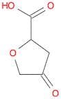 4-oxooxolane-2-carboxylic acid