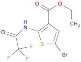 Ethyl 5-bromo-2-(2,2,2-trifluoroacetamido)thiophene-3-carboxylate