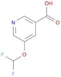 5-(Difluoromethoxy)nicotinic Acid