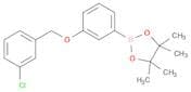 1,3,2-Dioxaborolane, 2-[3-[(3-chlorophenyl)methoxy]phenyl]-4,4,5,5-tetramethyl-