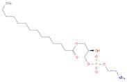 1-myristoyl-2-hydroxy-sn-glycero-3-phosphoethanolamine