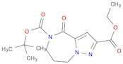 5-tert-butyl 2-ethyl 4-oxo-7,8-dihydro-4H-pyrazolo[1,5-a][1,4]diazepine-2,5(6H)-dicarboxylate