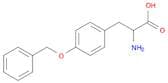 4-Benzyloxy-DL-phenylalanine