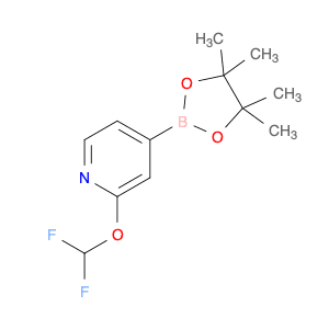 2-(Difluoromethoxy)-4-(4,4,5,5-tetramethyl-1,3,2-dioxaborolan-2-yl)pyridine