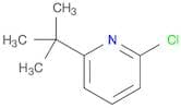 2-chloro-6-(1,1-dimethylethyl)-pyridine
