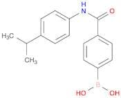 B-[4-[[[4-(1-methylethyl)phenyl]amino]carbonyl]phenyl]Boronic acid