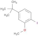 4-tert-Butyl-1-iodo-2-methoxy-benzene