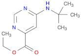 Ethyl 6-(tert-butylamino)pyrimidine-4-carboxylate