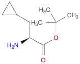 (S)-tert-Butyl 2-amino-3-cyclopropylpropanoate