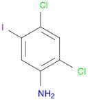 Benzenamine, 2,4-dichloro-5-iodo-