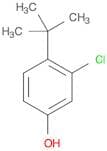 Phenol, 3-chloro-4-(1,1-dimethylethyl)-