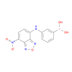 Boronic acid, [3-[(7-nitro-2,1,3-benzoxadiazol-4-yl)amino]phenyl]-