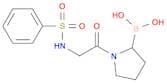 Boronic acid, B-[1-[2-[(phenylsulfonyl)amino]acetyl]-2-pyrrolidinyl]-