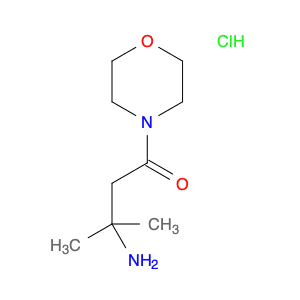 3-Amino-3-methyl-1-morpholinobutan-1-one hydrochloride