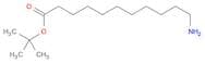 tert-Butyl 11-aminoundecanoate