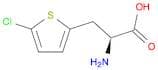 3-(5-Chlorothien-2-yl)-L-alanine