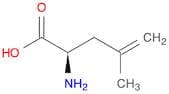 (R)-2-Methallylglycine
