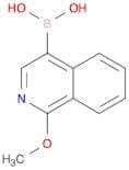 1-Methoxyisoquinoline-4-boronic acid