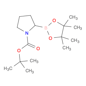 tert-butyl (2S)-2-(4,4,5,5-tetramethyl-1,3,2-dioxaborolan-2-yl)pyrrolidine-1-carboxylate