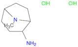8-Methyl-8-azabicyclo[3.2.1]octan-2-amine dihydrochloride