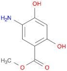 methyl 5-amino-2,4-dihydroxy-benzoate