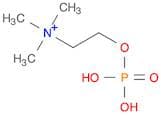 N,N,N-Trimethyl-2-(phosphonooxy)ethan-1-aminium