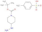 1,1-Dimethylethyl 4-hydrazinyl-1-piperidinecarboxylate toluenesulfonic acid